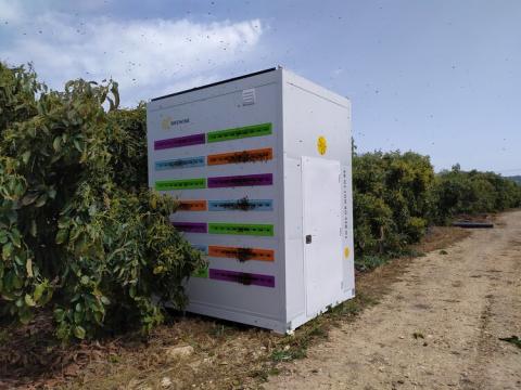 В Ізраїлі відновлюють популяцію бджіл за допомогою вуликів-роботів Рис.1