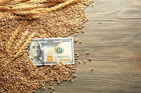 Закупівельні ціни на пшеницю в Україні відновили зростання Рис.1