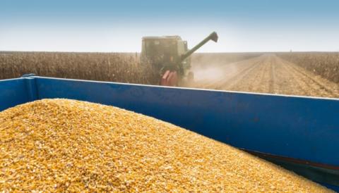 Україна намолотила перший мільйон тонн кукурудзи Рис.1