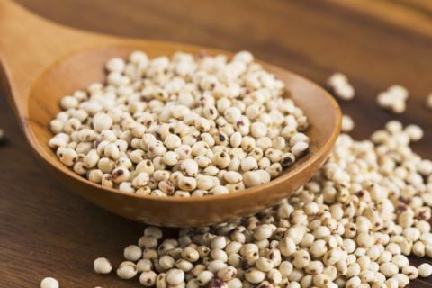 Відкриття гена може збільшити розмір зерна сорго,- вчені Рис.1