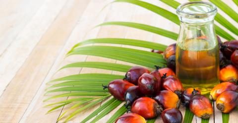 Подорожчання пальмової олії підтримує ціни на соняшник Рис.1