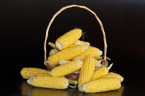 В Україні ціни на кукурудзу відновили зростання  Рис.1