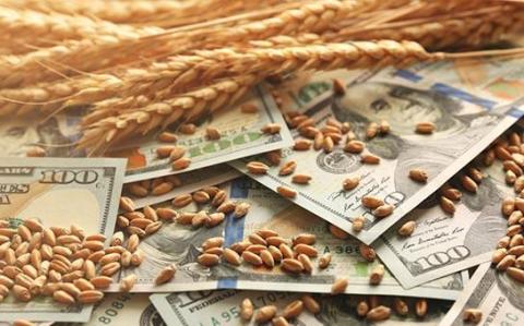 Закупівельні ціни на пшеницю в портах України виросли до рекордних 315 $/т Рис.1