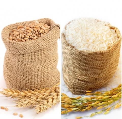 Нова техніка щеплення може боротися з хворобою, що загрожує пшениці та рису    Рис.1