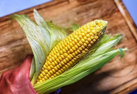 В Україні зросли закупівельні ціни на кукурудзу  Рис.1