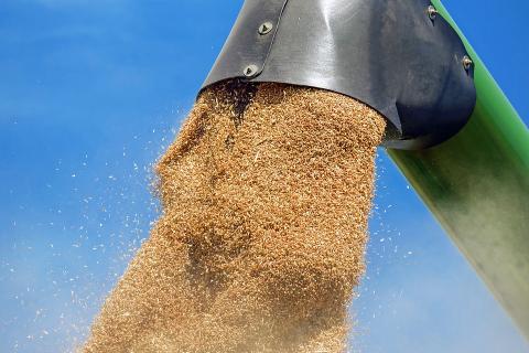 Україна експортувала 39,2 млн тонн зерна Рис.1
