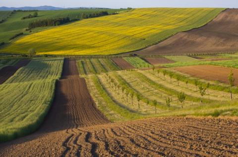 В Україні зареєстровано 98 618 земельних угод Рис.1