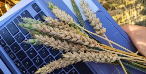 Vitagro Partner забезпечить агровиробників насінням ярих культур Рис.1