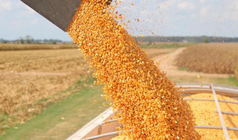 Експерти USDA внесли зміни у баланс по кукурудзі на 2022/23 МР Рис.1
