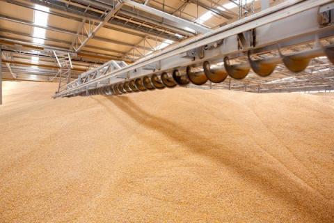 Канада хоче допомогти Україні з експортом зернових Рис.1