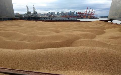 На експорт з України пішло 46,5 млн т зерна Рис.1