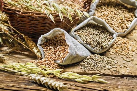 Пшениця продовжує дешевшати на новинах про можливе розблокування портів України Рис.1