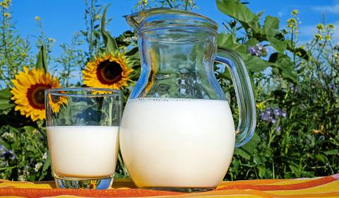 Експорт української молочної продукції набирає обертів Рис.1