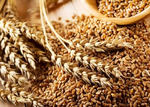 Україна скасує ліцензування експорту пшениці, що підвищить ціни закупівлі на новий врожай Рис.1