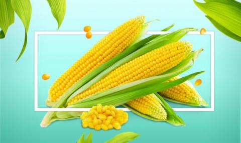 USDA різко збільшив прогноз виробництва та запасів кукурудзи  Рис.1