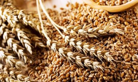 Єврокомісія запустила платформу для експорту українського зерна Рис.1
