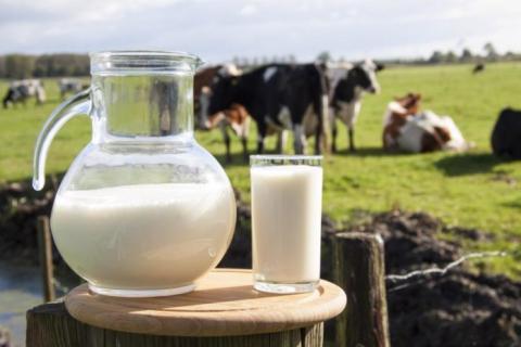 43 сімейні молочні ферми отримали допомогу від USAID Рис.1