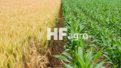 HF Agro доставляє українським аграріям вивантажувачі та пакувальники зерна Рис.1