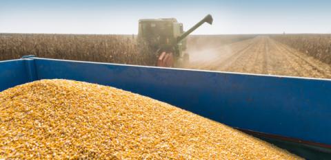 США розробляють «план Б» для експорту зернових з України Рис.1