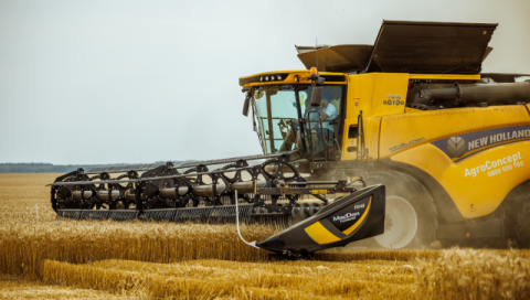 В Румунії зібрали рекордний врожай пшениці Рис.1