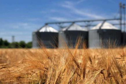Нові потужності для перероблення та складування зернових доступні аграріям на аукціонах приватизації Рис.1