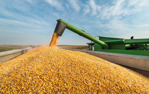 Єврокомісія збільшила прогноз імпорту кукурудзи до ЄС Рис.1