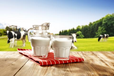 Експорт української молочної продукції досяг рекордного показника за останні два роки  Рис.1