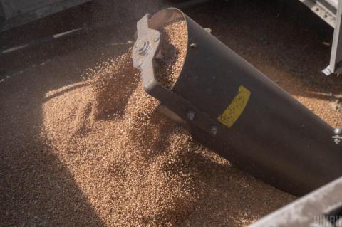 Понад чверть української пшениці в межах "Зернового коридору" поїхало до африканських країн Рис.1