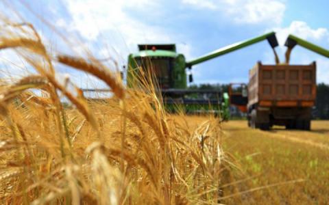 Україна у вересні експортувала майже 7 млн т зерна – Сольський Рис.1