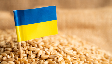 Ініціатива «Зерно з України» зібрала 150 млн доларів на підтримку експорту зерна до бідних країн Рис.1