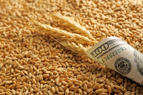«Шляхи солідарності»: ЄС виділяє 1 млрд євро на експорт українських зернових  Рис.1