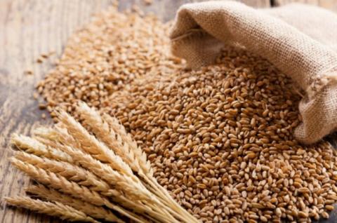 Єгипет без тендера придбав російську пшеницю, а ринок очікує рішення рф про дію зернового коридору Рис.1