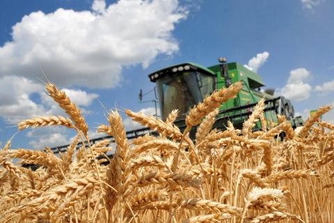 FranceAgriMer підвищує прогноз експорту пшениці за межі ЄС на 2022/2023, - огляд іноземних ЗМІ за 14 грудня 2022 року Рис.1