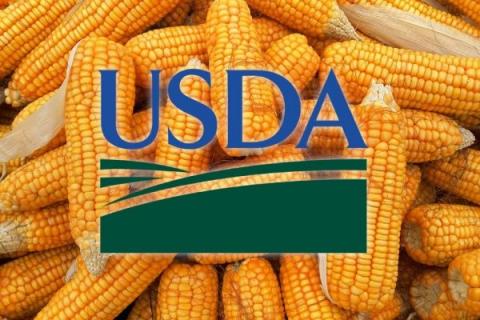 У грудневому балансі експерти USDA знову знизили оцінки виробництва та запасів олійних Рис.1