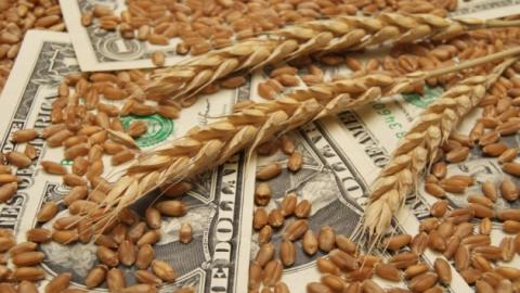 Пшеничні ф’ючерси наприкінці 2022 року на 3,5-24% перевищували рівень попереднього року Рис.1