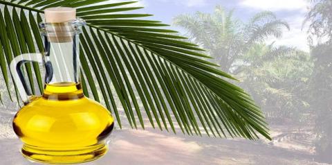 Пальмова олія подорожчала на 4% через блокування поставок соняшникової олії з України Рис.1