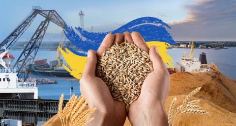 В Україні погоджена тимчасова схема інспекції суден «зернового коридору»  Рис.1