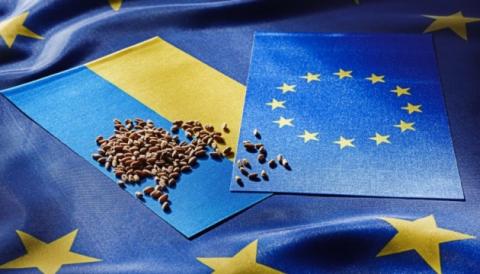 Дванадцять країн ЄС просять Єврокомісію пояснити призупинення імпорту українського зерна для п'яти країн союзу Рис.1