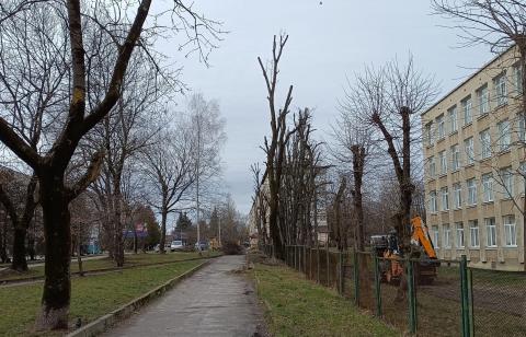 У Києві затвердили нові стандарти догляду за деревами Рис.1