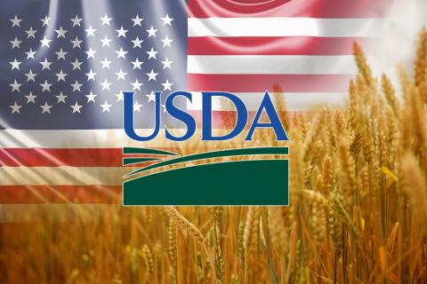 USDA очікує рекордного урожаю пшениці та скорочення її запасів у 2023/24 МР Рис.1
