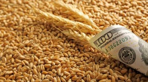 Єврокомісія схвалила програму допомоги зерновому сектору Польщі на €435 млн Рис.1