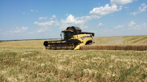 Українська зернова асоціація збільшила прогнози щодо врожаю-2023 Рис.1