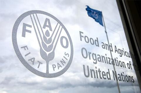 Індекс продовольчих цін ФАО знизився Рис.1