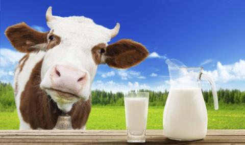 Чи можна заморожувати молоко і як довго воно зберігається Рис.1
