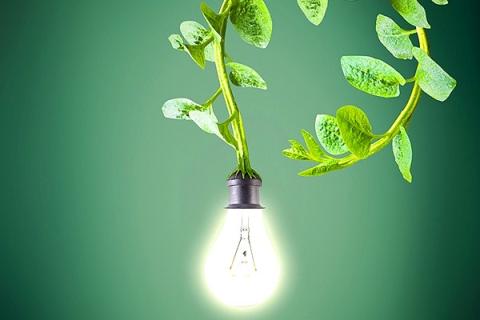 Вчені розробили першу у світі рослину, що виробляє електроенергію від вітру та дощу  Рис.1