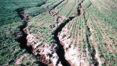 Через істотну ерозію ґрунтів українські аграрії втрачають третину прибутків - Гадзало  Рис.1