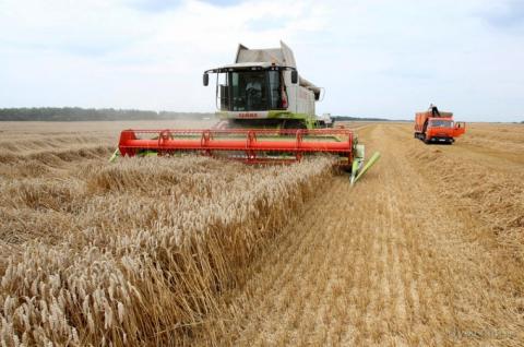 Мінагрополітики збільшує прогноз урожаю зернових 2018 до 63,1 млн тонн Рис.1