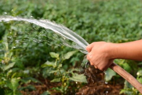 Молдавські фермери зможуть використовувати для поливу воду з водойм усіх форм власності Рис.1