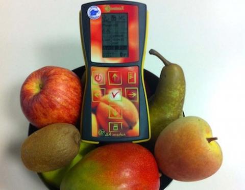 Представлений пристрій для оцінки оптимальної стиглості фруктів Рис.1