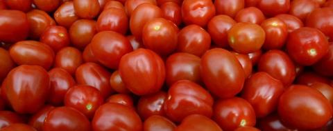 Українські помідори будуть дорожчати через заморозки в Іспанії Рис.1